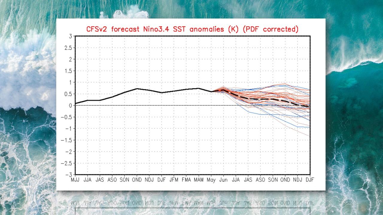 El Nino: anomalies de températures à la surface du Pacifique, prévues par les modèles pour 2019 [NCEP]