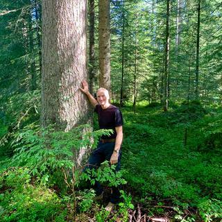 Serge Lüthi, Inspecteur des forêts pour le District du Pays-d'En-Haut, explique la sélection des bois de résonance à Jonas Schneiter. [RTS - Jonas Schneiter]