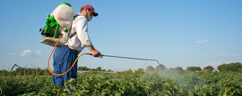 Les pesticides sont utilisés avec toujours plus de parcimonie en Suisse. [Fotolia - Dusan Kostic]