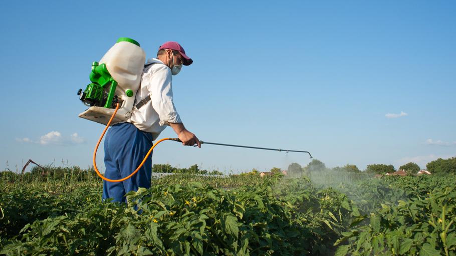 Les pesticides sont utilisés avec toujours plus de parcimonie en Suisse. [Fotolia - Dusan Kostic]