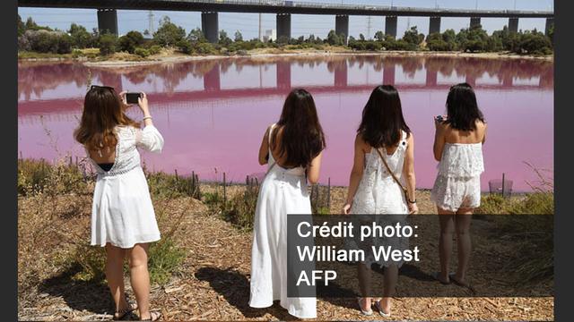 Un petit lac a pris cette couleur dans les environs de Melbourne. [AFP - William West]