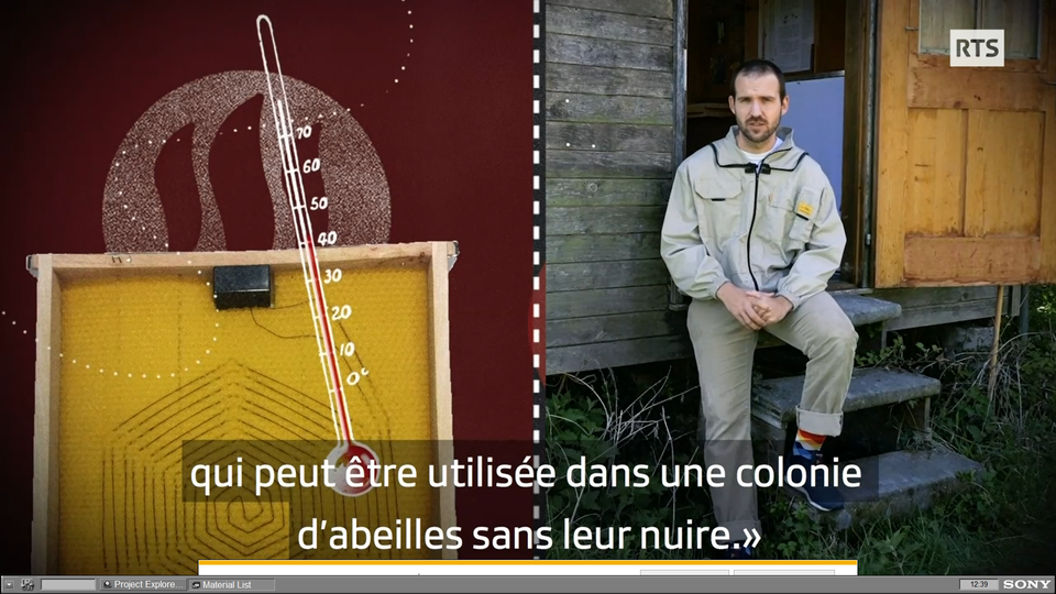 Pascal est parti en guerre contre le Varroa destructor, un petit parasite qui décime les abeilles. [RTS]