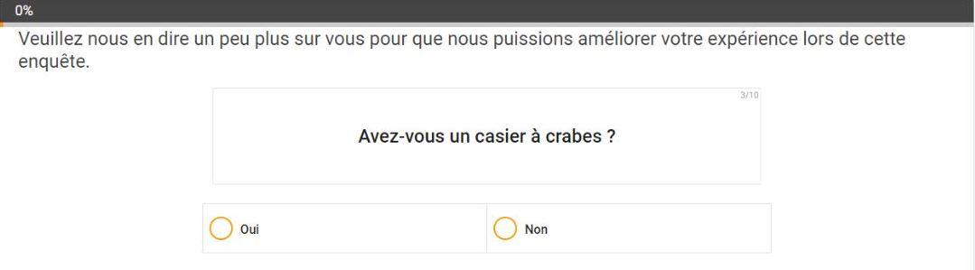 Des questions servent à vérifier que les sondés ne répondent pas au hasard.