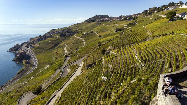 Une vue aérienne des terrasses de Lavaux. [Keystone - Laurent Gillieron]