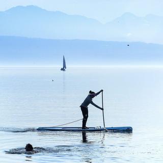 La pratique du Paddle dans certains sites dérange les oiseaux. [Keystone - Jean-Christophe Bott]