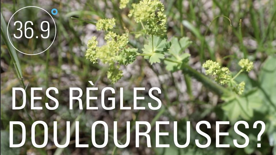 Vignette Les remèdes de grand-mère "Des règles douloureuses?" [RTS]