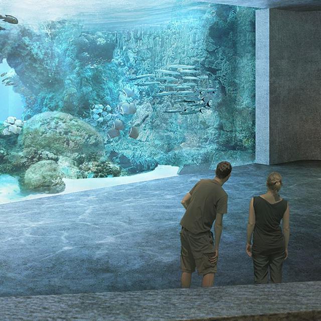 Le zoo de Bâle souhaite construire "Oceanium", une vingtaine d'aquariums géants. [Zoo Basel]