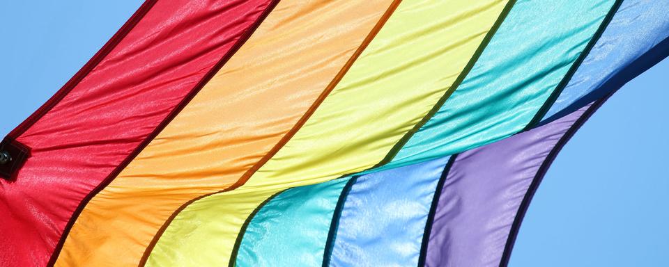 Le drapeau arc-en-ciel. [Fotolia - Christopher Bradshaw]