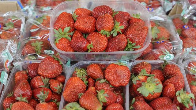 Les fraises venues d'Espagne sont vendues en action dans les grandes surfaces depuis le mois de mars. [Keystone - Fabian Bimmer]