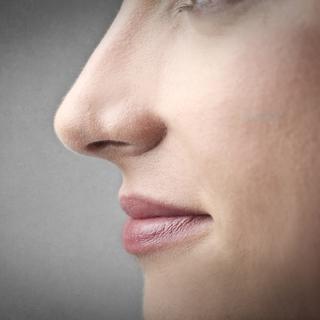 Le nez, l'organe de l'olfaction.
olly18
Depositphotos [Depositphotos - olly18]
