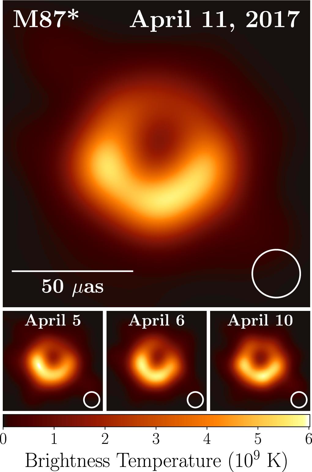 M87*, la première image d'un trou noir vu grâce au Event Horizon Telescope. [The Astrophysical Journal Letters - EHT]