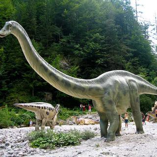Un diplodocus de l'exposition world of dinosaurs à Vallorbe. [dinoworld.ch - DR]