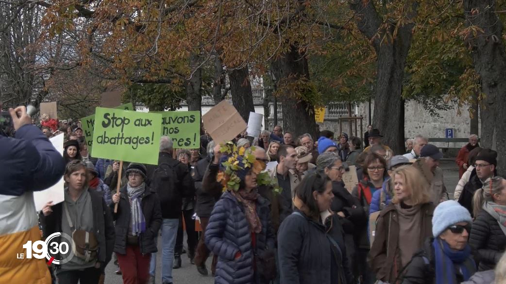 La colère citoyenne contre l'abattage d'arbres s'est exprimée samedi à Genève. [RTS]