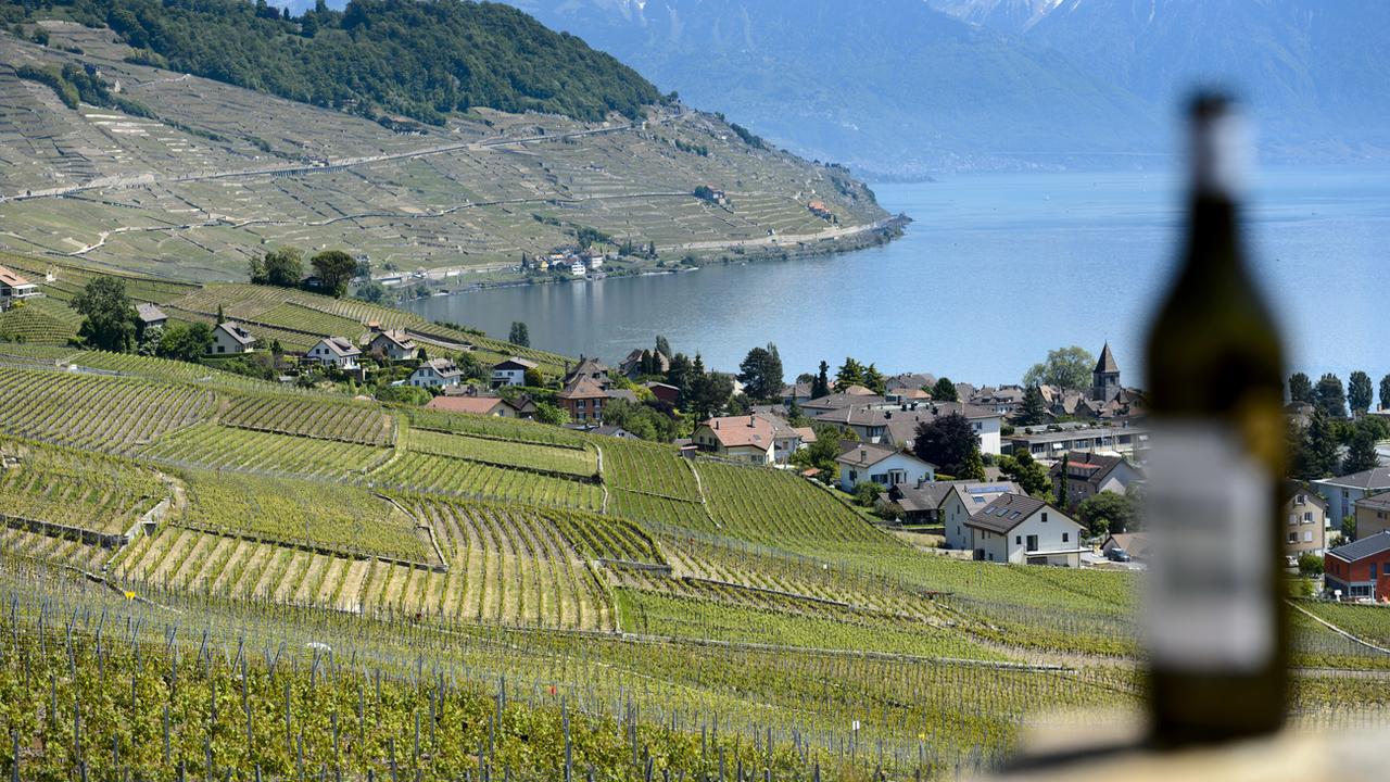 La production de vin blanc de Lavaux va baisser de 15% en 2019 (image d'illustration). [Keystone - Laurent Gilliéron]