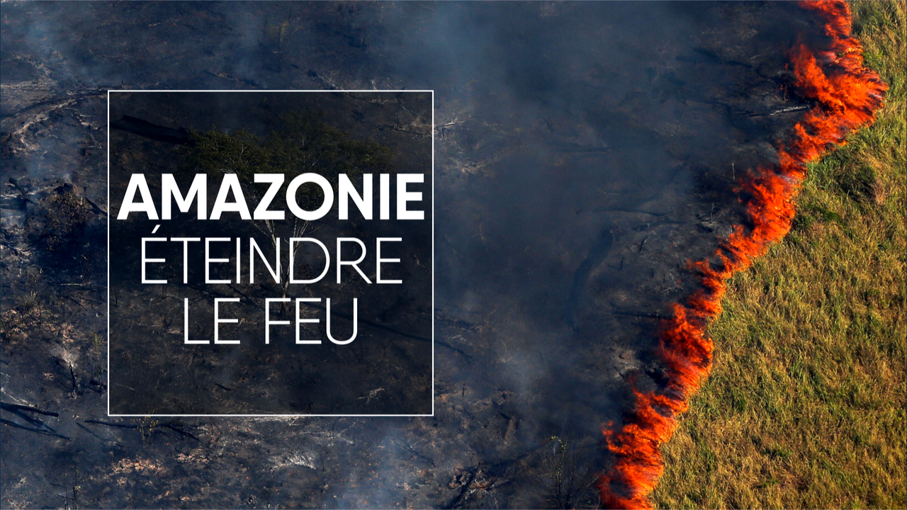 Géopolitis: Amazonie, éteindre le feu [REUTERS - Bruno Kelly]