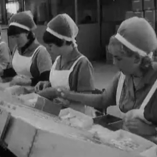 La chocolaterie Cailler a permis l'émergence d'une classe ouvrière et contribué à l'émancipation féminine (image d'archive de l'émission Carrefour, en 1967). [Emission Carrefour/RTS]