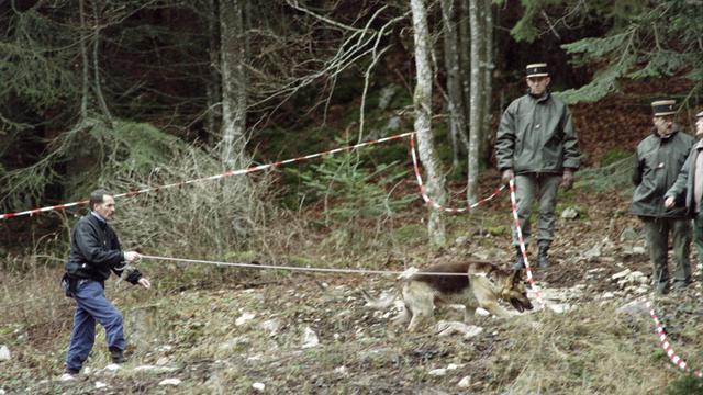 Des gendarmes patrouillent dans les bois de Saint-Pierre de Cherenne, dans le massif du Vercors, à la recherche des disparus de la secte de l'Ordre du Temple solaire, le 23 décembre 1995. [AFP - Patrick Cardin]