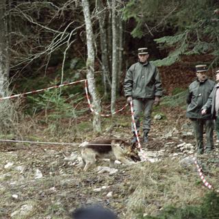 Des gendarmes patrouillent dans les bois de Saint-Pierre de Cherenne, dans le massif du Vercors, à la recherche des disparus de la secte de l'Ordre du Temple solaire, le 23 décembre 1995. [AFP - Patrick Cardin]