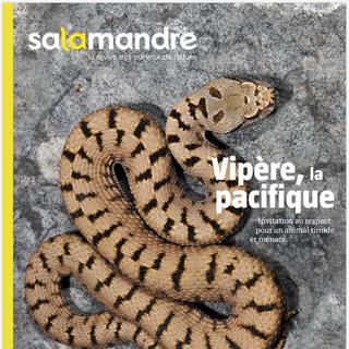La Salamandre n°252 juin juillet 2019