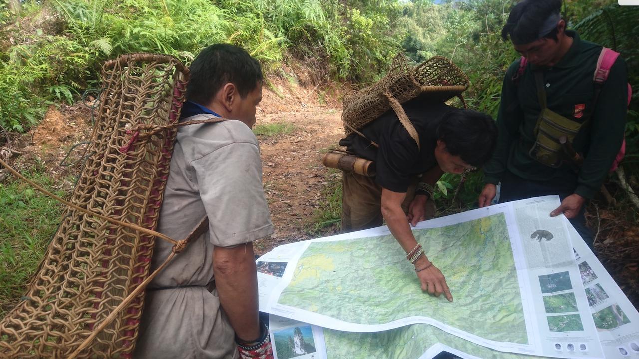Utilisation des cartes sur le terrain par des chasseurs Penan. [Bruno Manser Fonds]