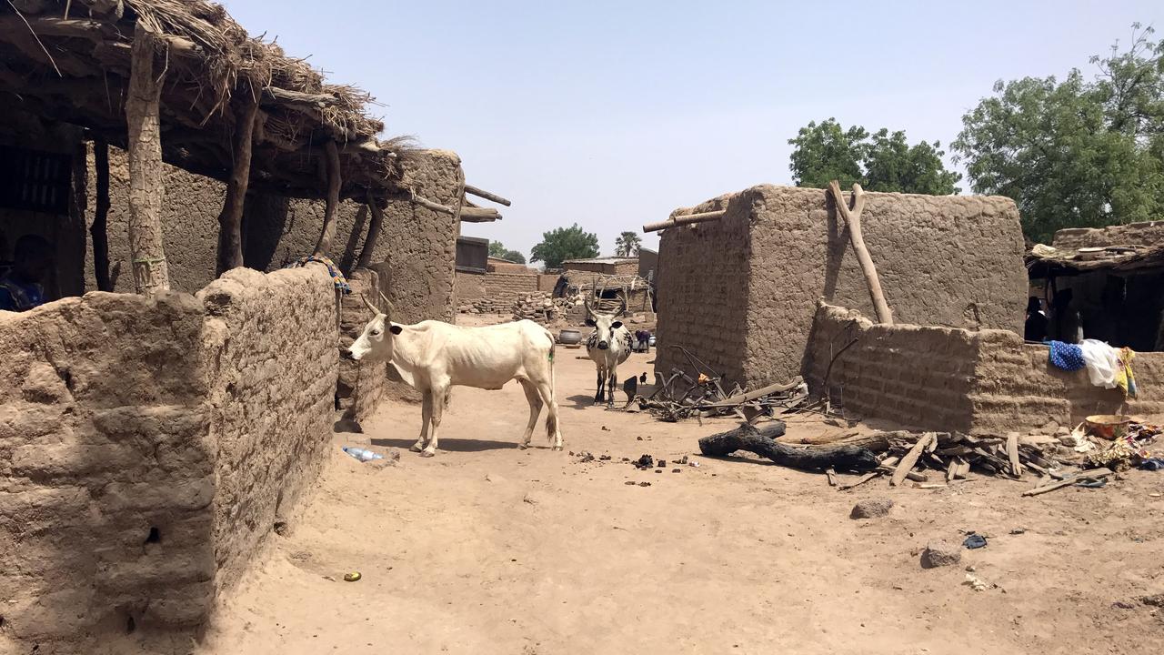 Près de 135 villageois peuls tués par une milice de chasseurs dogons au Mali. [DPA/AFP - Jürgen Bätz]