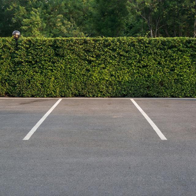 Places de parc devant une haie. [Depositphotos - oppdowngalon]