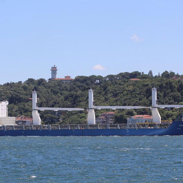 Le "Thorco Basilisk" photographié dans le détroit du Bosphore à fin juin 2019. [YorukIsik/Twitter]