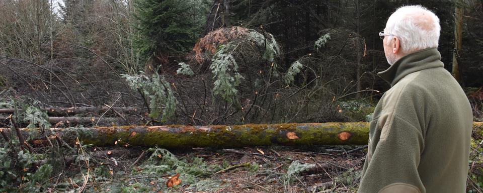 Michel Monnin était chef adjoint du service jurassien des forêts à l'époque de Lothar. [RTS - Gaël Klein]