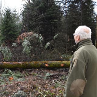 Michel Monnin était chef adjoint du service jurassien des forêts à l'époque de Lothar. [RTS - Gaël Klein]