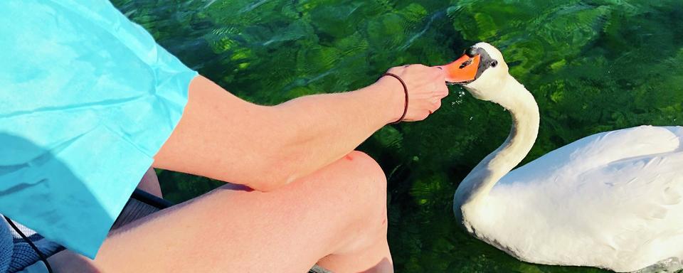 Marie Agnès Gillot proche d'un cygne. [RTS - Karine Vasarino]