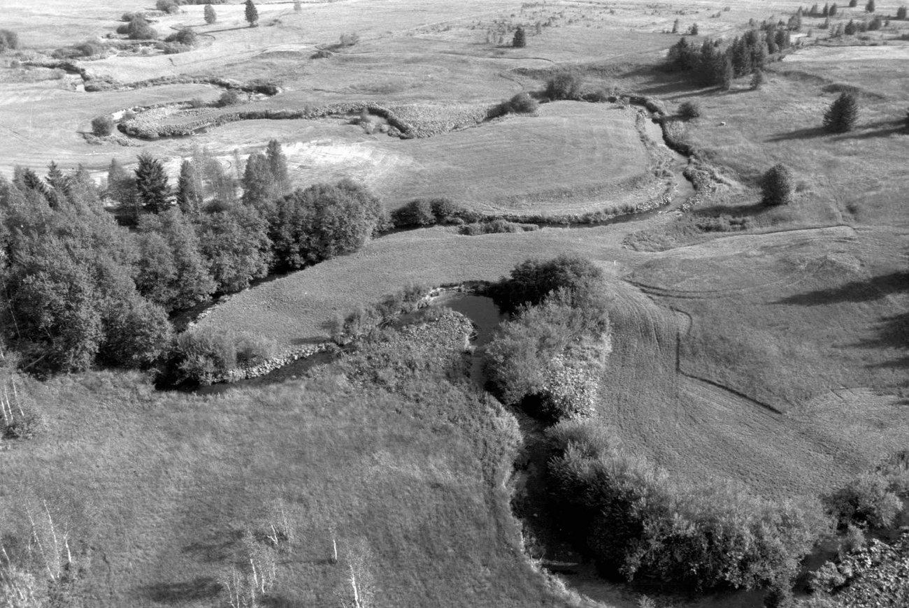 Le marais de Rothenthurm photographié en 1992. [Keystone - Str]
