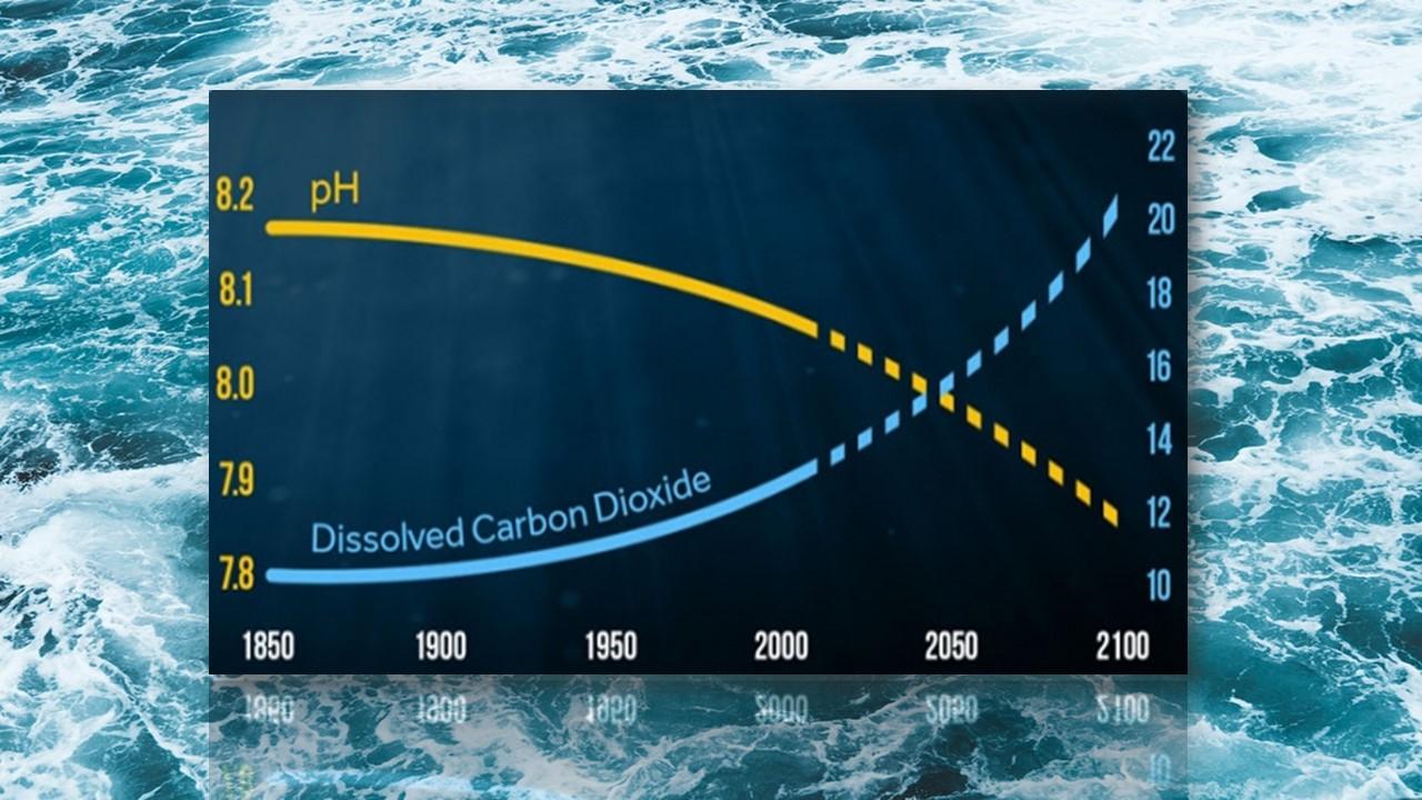 Quantités de Co2 absorbé et acidification des océans depuis 1850 à nos jours [rts.ch]
