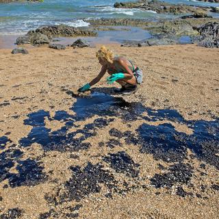 Une bénévole tente de nettoyer une plage souillée par la marée noire qui touche le Brésil. [afp - Antonello Veneri]