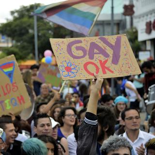 Le mariage entre personnes du même sexe a été reconnu mercredi par la justice équatorienne [AFP - RODRIGO BUENDIA]