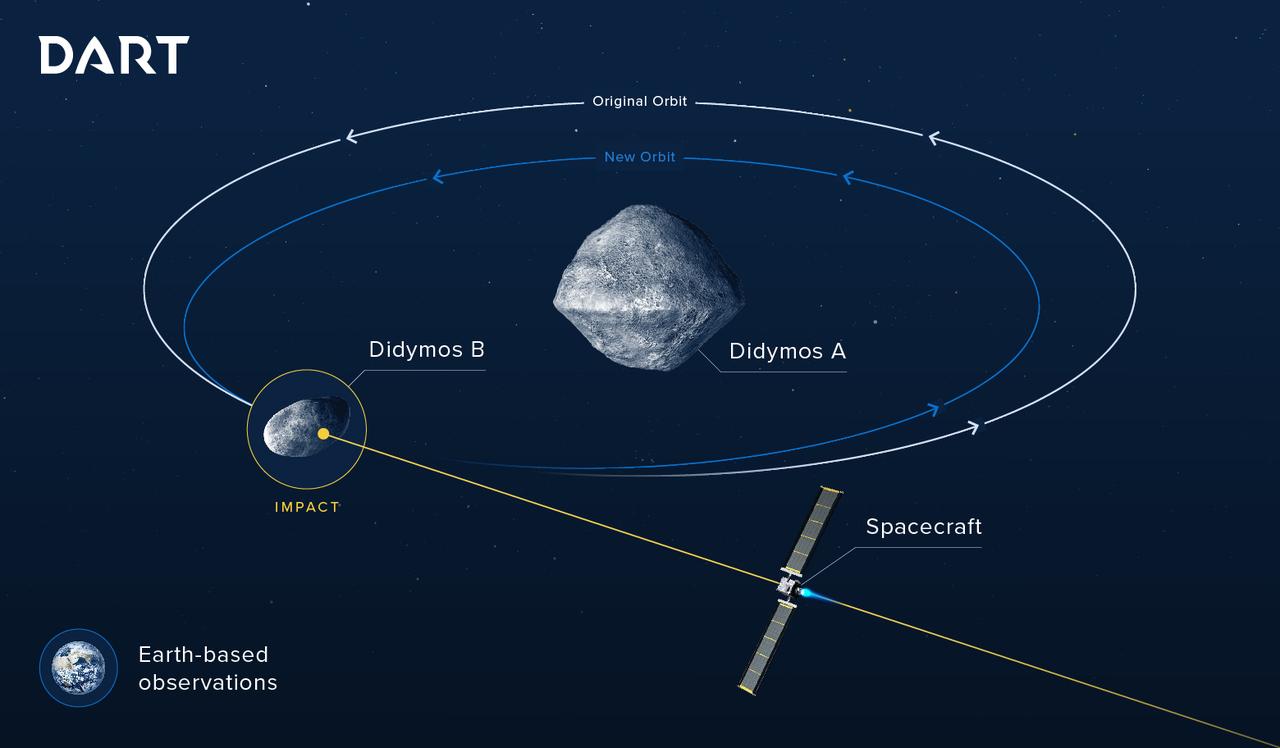 Illustration de l'impact de l'engin spatial DART sur l'orbite de Didymos B par rapport à Didymos A: orbite originale en blanc, nouvelle orbite en bleu. [NASA - The Johns Hopkins University Applied Physics Laboratory]