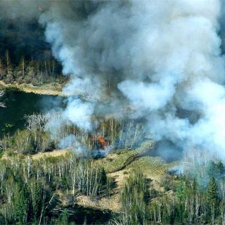 Des feux brûlant dans la taiga, ou forêt boréale, dans la région de Krasnoyarsk en Russie [EPA/Keystone - Russian Federation Service Aviation Forest Protection]