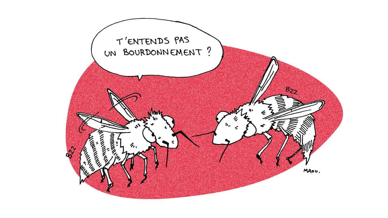 Les ondes ont un effet sur le comportement de certains insectes. [RTS - Maou]