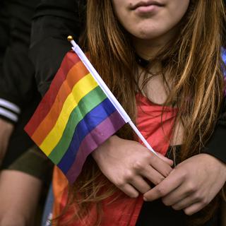 Le référendum du l'UDF contre la norme anti-homophobie se trouve dans la tourmente. [AP Photo/Keystone - Alvaro Barrientos]