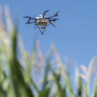 L'agriculture se met à l'intelligence artificielle avec robots, drones et capteurs électroniques. [Keystone - Patrick Huerlimann]