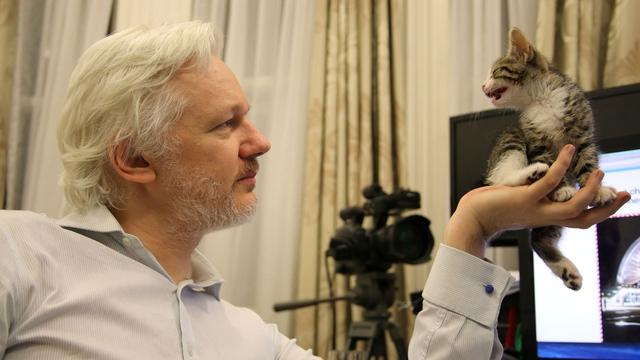 Photo non datée de Julian Assange à l'ambassade de l'Equateur à Londres où il était réfugié depuis 2012. Après avoir vécu réfugié dans cette ambassade durant huit ans, le fondateur de WikiLeaks est arrêté par la police britannique le 11 avril 2019. Les USA demandent son extradition. [KEYSTONE/Sunshine Press/Wikileaks via AP]