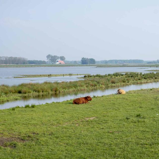 Stan Fleerakkers, éleveur bovin, exploite une ferme avec sa famille sur un polder situé à une cinquantaine de kilomètres à lʹEst de Rotterdam. [Léonard Pongo / NOOR - Léonard Pongo]