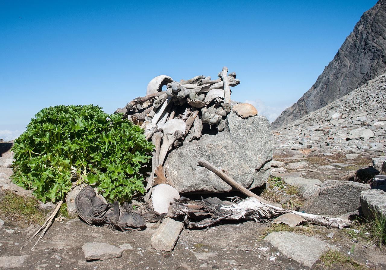 Des centaines d'ossements humains se trouvent dans la zone du lac Roopkund. [Creative Commons]