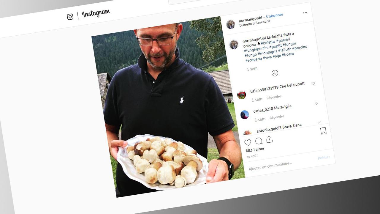La chasse aux bolets de Norman Gobbi sur Instagram, en août 2019. [Intagram: normangobbi]