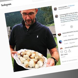 La chasse aux bolets de Norman Gobbi sur Instagram, en août 2019. [Intagram: normangobbi]