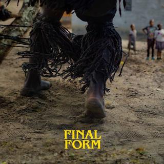 Pochette du titre "Final Form" de Sampa the great. [Ninja Tune - DR]