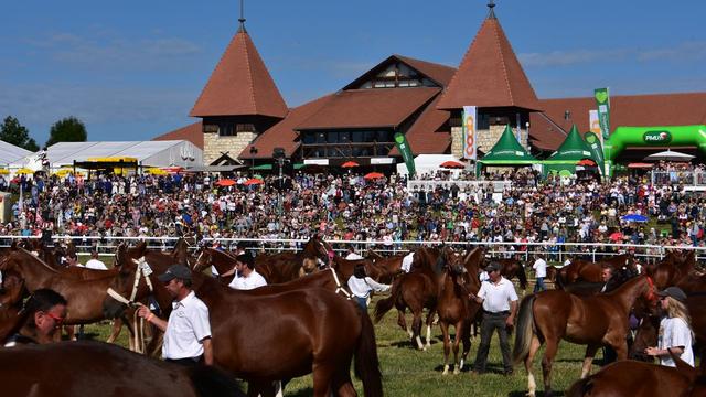 Près de 50'000 visiteurs se sont rendus au Marché Concours à Saignelégier. [RTS - Gaël Klein]