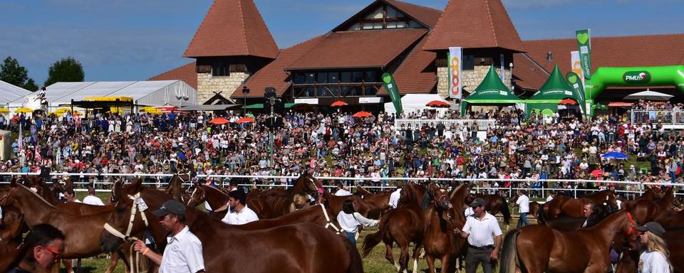 Près de 50'000 visiteurs se sont rendus au Marché Concours à Saignelégier. [RTS - Gaël Klein]