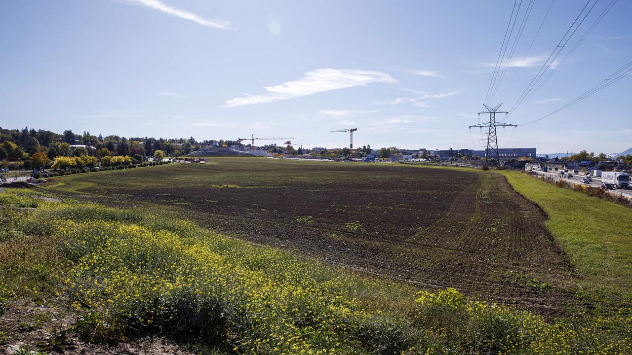 Le déclassement d'une zone agricole au Pré-du-Stand (GE) a été rejeté en votation. [Keystone - Salvatore di Nolfi]