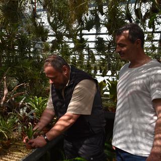 Alain Mertz, jardinier chef et Damien Becker, directeur de Jurassica Museum à Porrentruy. [RTS - Gaël Klein]