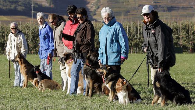 Les cours imposés aux propriétaires de chiens ne sont plus obligatoires. [Keystone - Olivier Maire]